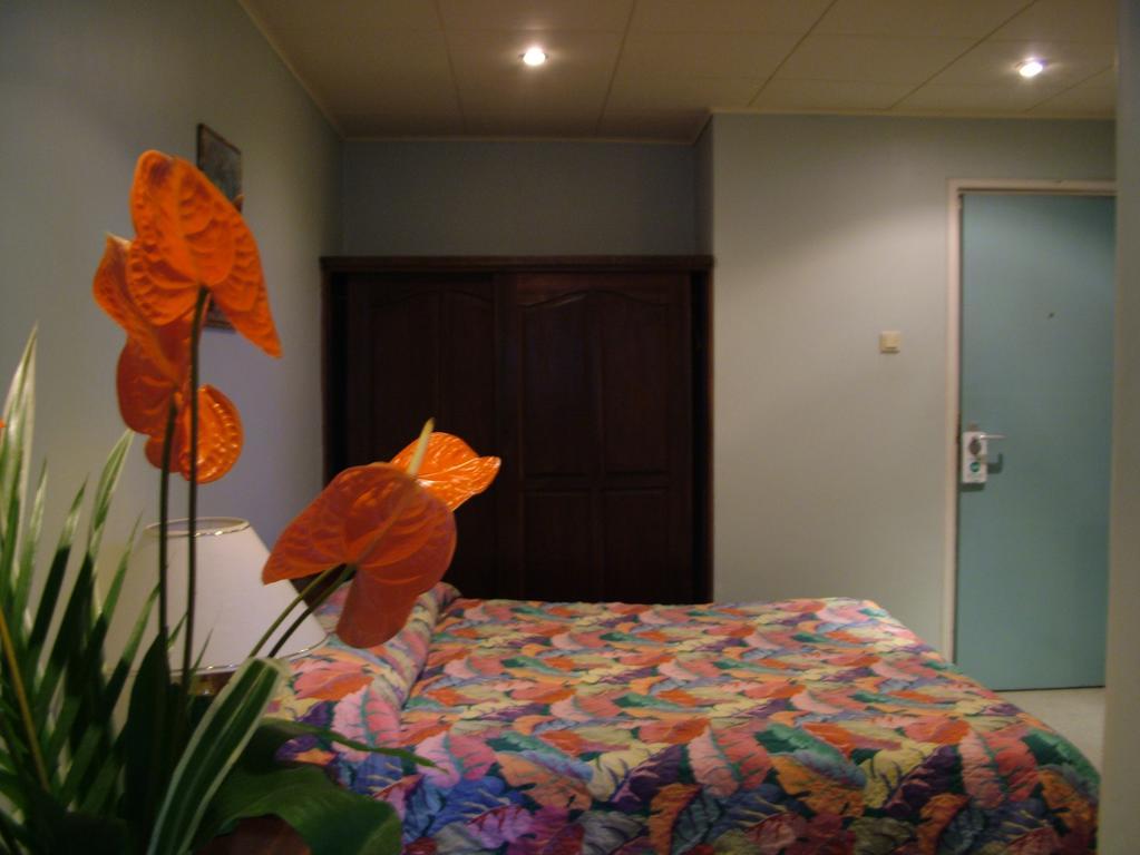 Ambassador Hotel & Casino Paramaribo Bilik gambar